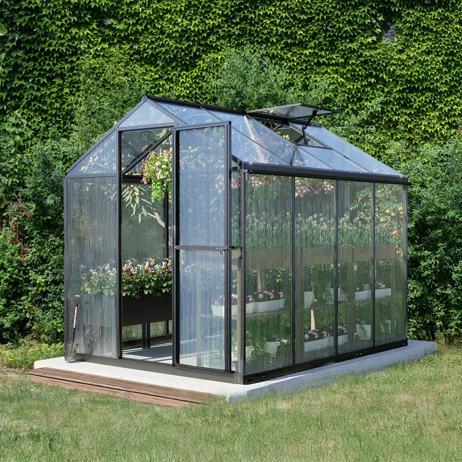 Aoodor 6' x 8' Outdoor Greenhouse, Walk-in Polycarbonate Greenhouse with Aluminum Frame for Outside Backyard, Black