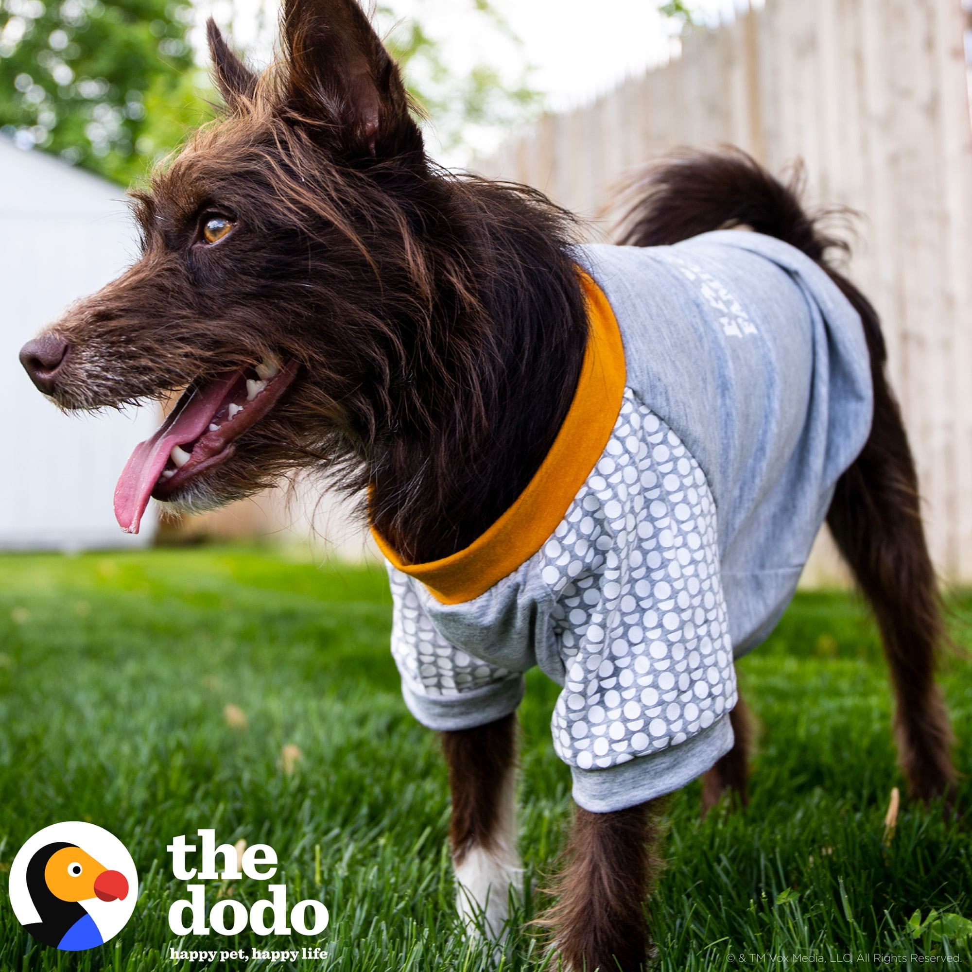 The Dodo Grey T-Shirt Medium