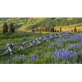thumbnail image 2 of Rotenberg, Nancy 14x10 White Modern Wood Framed Museum Art Print Titled - CO, Crested Butte Fence in a mountain valley, 2 of 4