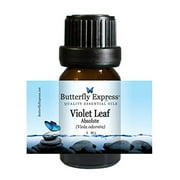 Violet Leaf Absolute Essential Oil 5ml - 100% Pure by Butterfly Express