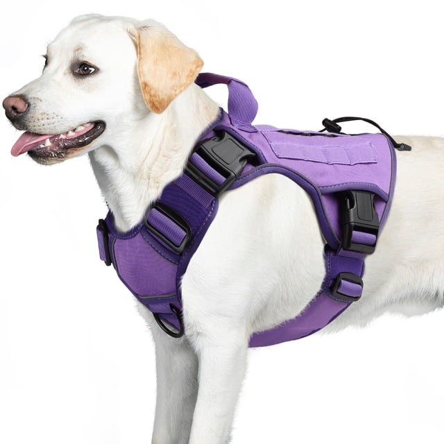 Chaleco táctico para perros WINGOIN morado para perros grandes