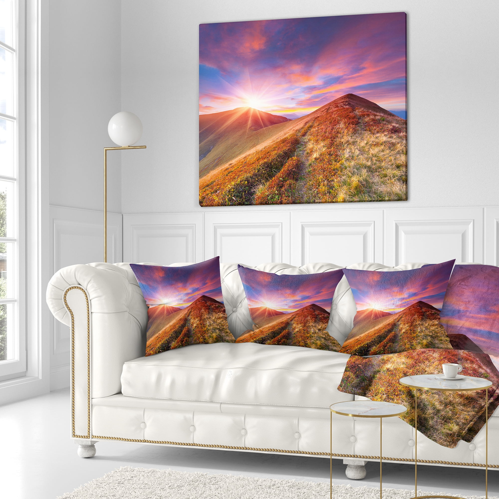 Designart Colorful Grass and Clouds - Landscape Photography Throw Pillow - 16x16