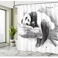 thumbnail image 5 of Ambesonne Black and White Shower Curtain, Sleeping Panda, 69"Wx75"L, Black White, 5 of 5