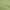 Light Green, variant on oneOone Polyester Spandex Light Green Fabric Tropical Sewing Craft Projects Fabric Prints By Yard 56 Inch Wide