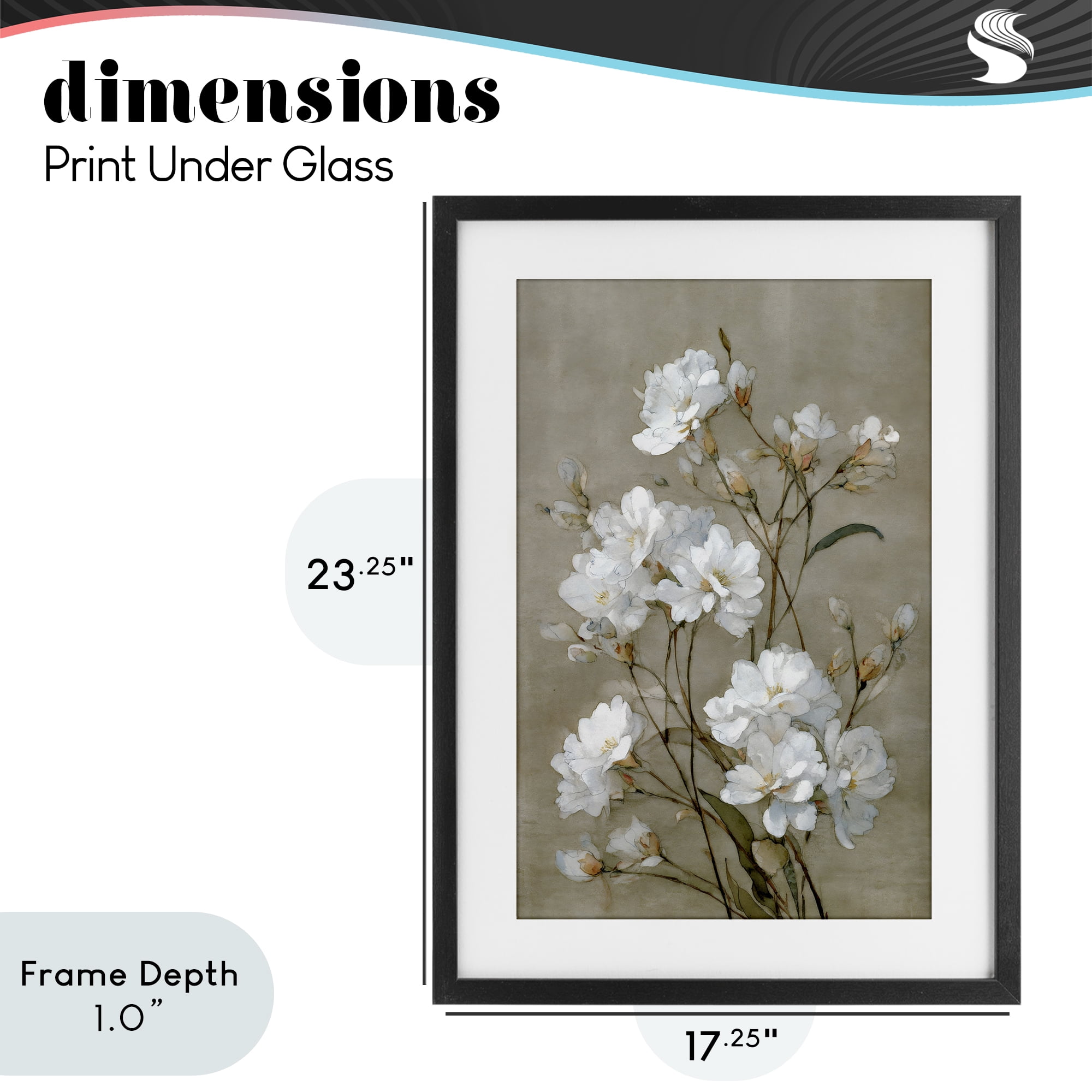 Stupell Industries Aged White Botanical Study Black Framed Print Under Glass, design by Petal Prints Design