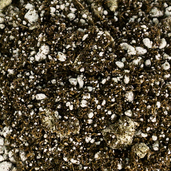 Josh's Frogs Succulent Soil (1 Quart) - image 4 of 5