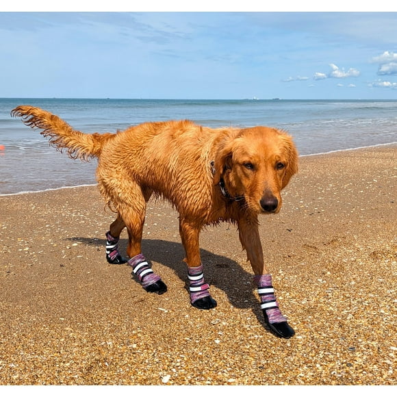 Bark Brite Lightweight Neoprene Paw Protector Dog Boots Designed for Comfort and Breathability in 5 Sizes (Lavender Lg)