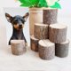 thumbnail image 2 of 10 Pack Tree Stump Shaped Place Card Holders for Wedding Party, 2 of 4