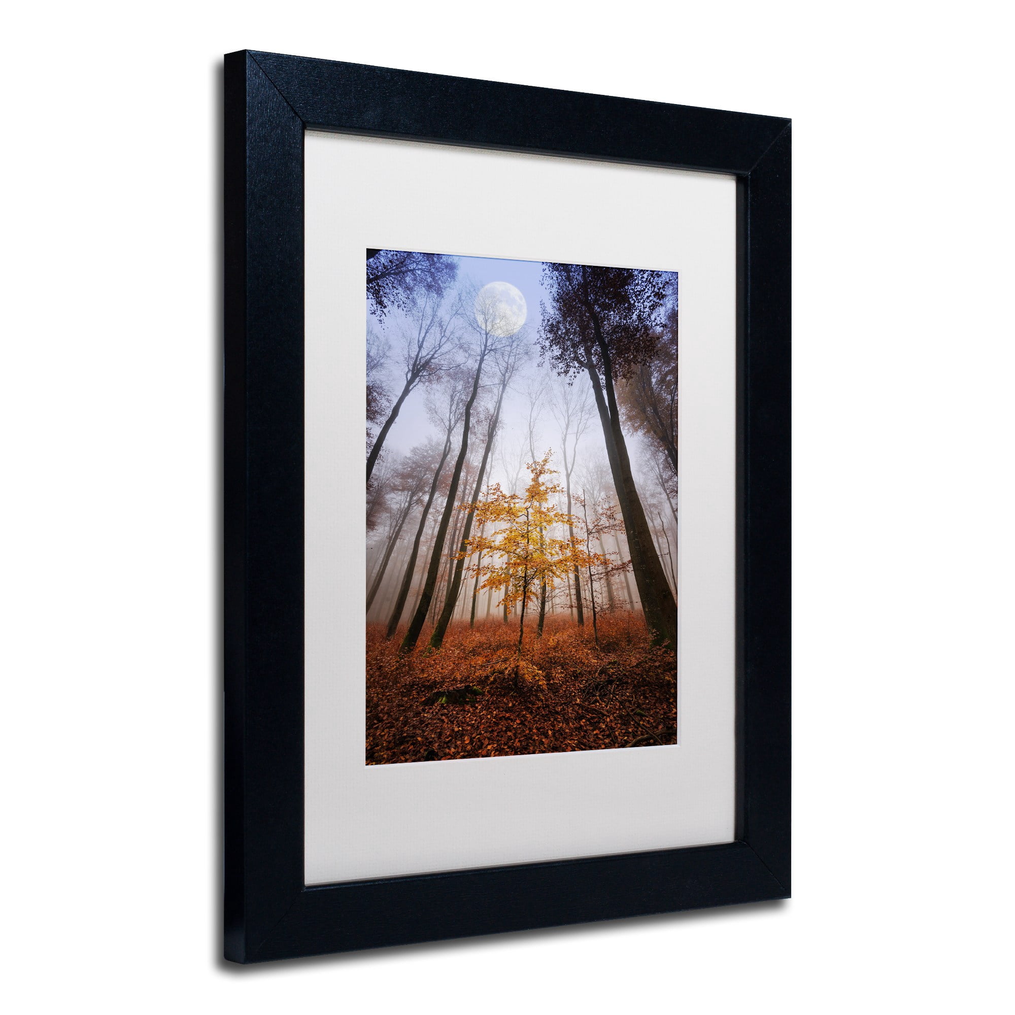 Trademark Fine Art "Sentinel" Canvas Art by Philippe Sainte-Laudy White Matte, Black Frame