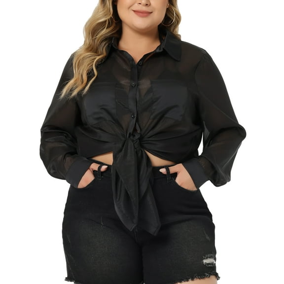 Agnes Orinda Women's Plus?Size Long Sleeve Button Down Sheer Shirt 1X Black