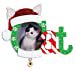 thumbnail image 2 of Santa Hat Cat Photo Frame Ornament, 2 of 2