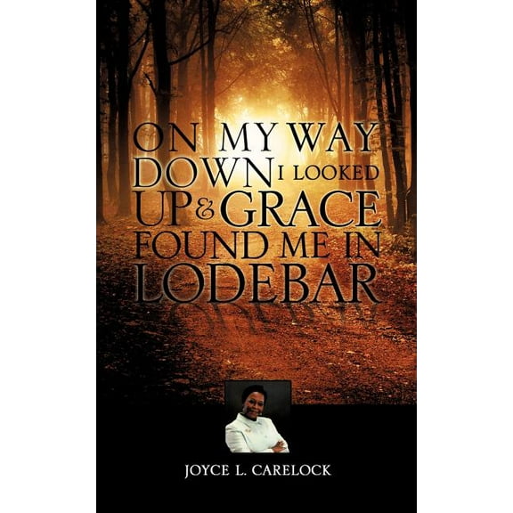 On My Way Down I Looked Up and, (Paperback)