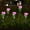 Purple_PP, variant on EWASWON Christmas Solar Artificial Rose Garden Stakes - Waterproof Outdoor Decor, Christmas Gift, Yellow LED Lights for Lawn & Garden