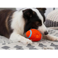 thumbnail image 4 of Juguetes radicales para masticar para perros, juguetes para masticar para perros, juguetes para perros chirriantes, pelotas para perros, juguetes con pelotas chirriantes, pelotas para perros para limpiar los dientes de los perros (3 piezas, trompeta, balón de fútbol de látex, balón de fútbol de látex, voleibol de látex) JM, 4 of 5