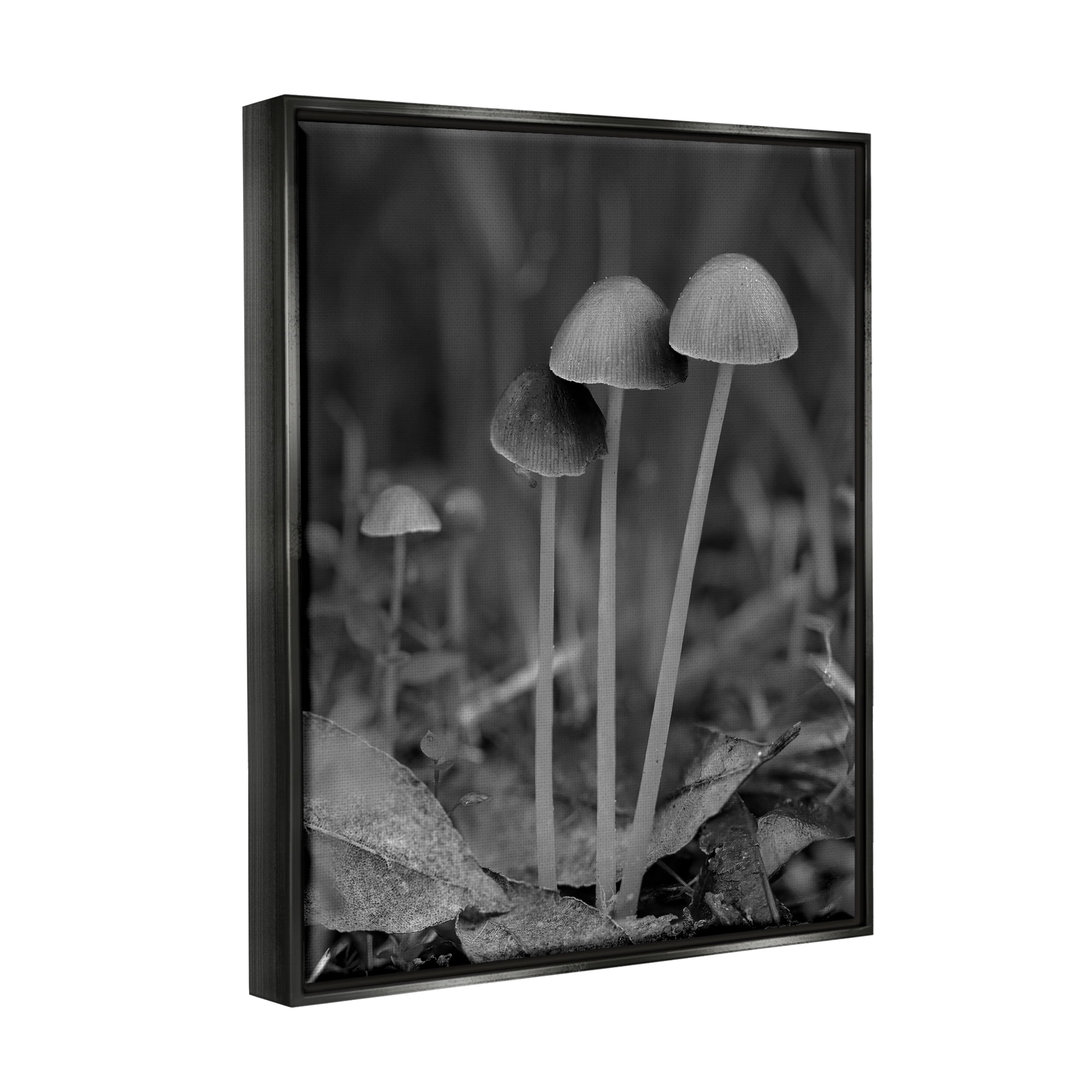 Stupell Industries Forest Mushroom Photography Botanical & Floral Photography Black Floater Framed Canvas Art Print Wall Art, 25 x 31