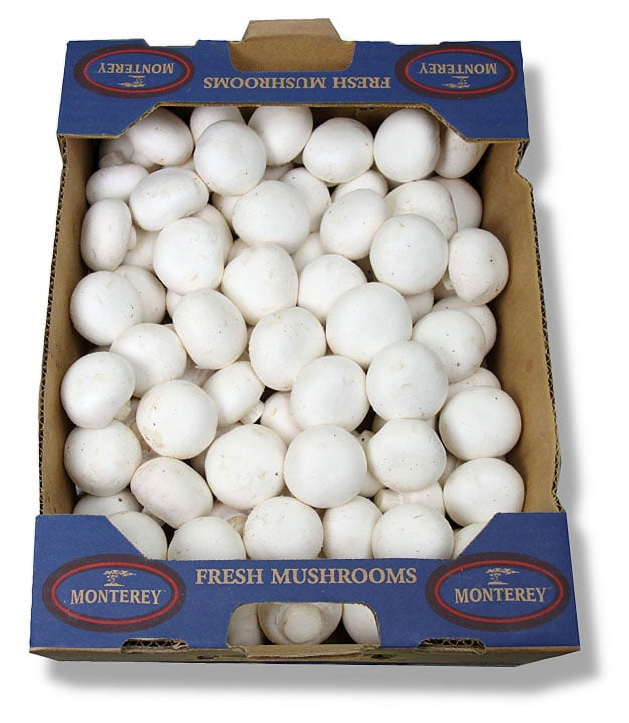 Fresh Whole White Mushrooms, Bulk