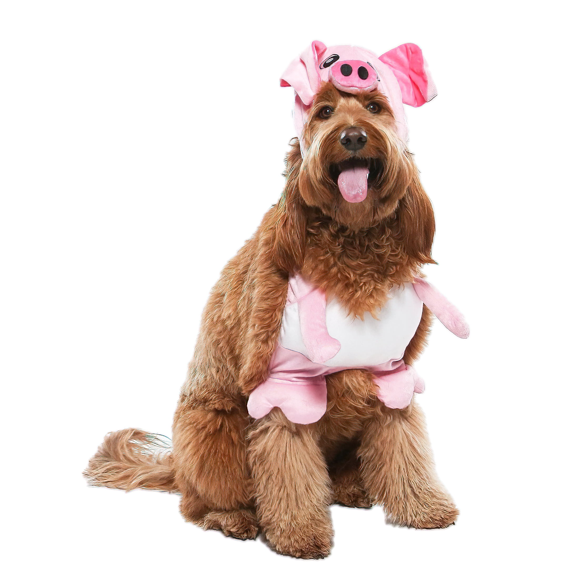 Vibrant Life Vl Hw Costume Pig Medium