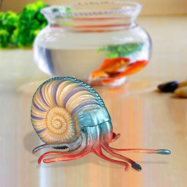 2x figuras de realistas, juguete congnitivo, acuario, paisajismo para Baoblaze Figuras de caracola