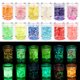 thumbnail image 1 of Brillo Luminoso Para Uñas De 12 Colores Que Brilla En La Oscuridad Brillo Holográfico Grueso Para Manualidades Y Decoración De Fiestas Sweethay CE007392-01, 1 of 6