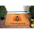 thumbnail image 3 of Calloway Mills 107151729 17 x 29 in. Happy Thanksgiving Rectangular Doormat, Multi Color, 3 of 6