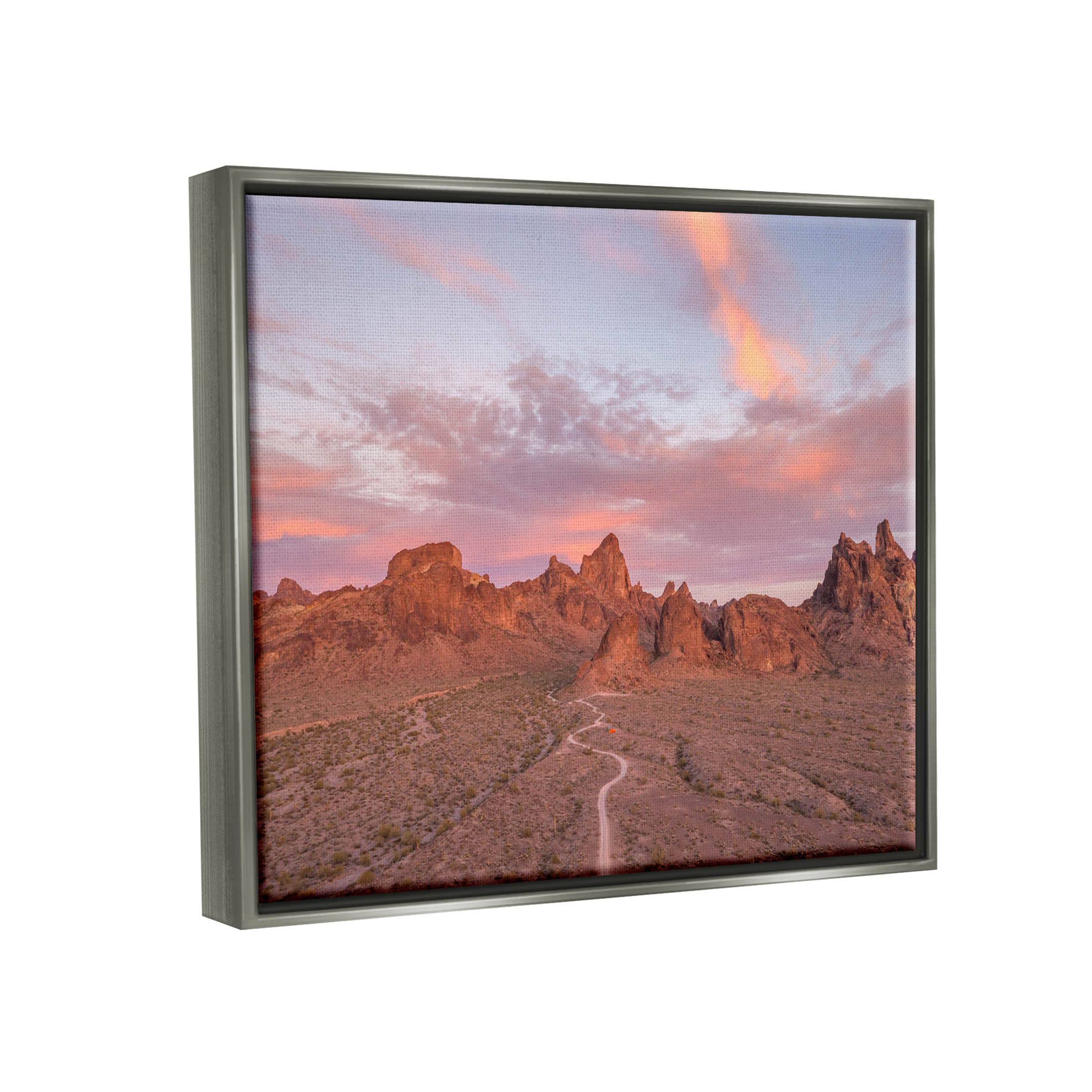 Vast Canyon Road Desert Scene Landscape Photograph Luster Gray Framed Art Print Wall Art