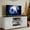 Gray Wash, variant on Dextrus Farmhouse TV Stand with Storage, TV Media Console Cabinet for 65 inch TV, Grey Wash
