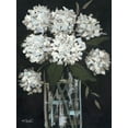 thumbnail image 2 of Sherrill, Kate 19x24 White Modern Wood Framed Museum Art Print Titled - White Hydrangeas I, 2 of 4
