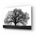 thumbnail image 2 of Epic Art 'The Tree' by John Jones, Acrylic Glass Wall Art, 16"x12", 2 of 8