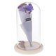 thumbnail image 1 of Romantic con Cubierta de para Terrario Micro Landscape - Morado, Individual Púrpura BLESIY terrario de cristal de la planta de la flor, 1 of 8