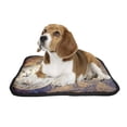 thumbnail image 2 of PKQWTM compass gold color old map with coins Pet Dog Cat Bed Pee Pads Mat Cushion Potty Dogs Blankets Crate Bed Kennel 14x18 inch, 2 of 3