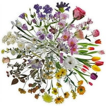 Nvzi 240Pcs TransparentFlower Stickers Floral Stickers, Plastic Self-Adhesive Stickers Assorted Styles Resin Sticker for Scrapbook Journal Card Making Letter Album Window Wall