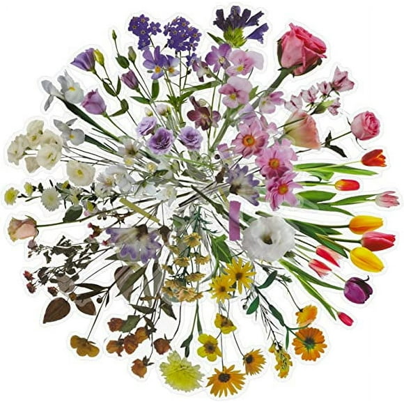 Zhuge 240 pegatinas de flores transparentes, pegatinas florales, pegatinas autoadhesivas de plástico, pegatinas de resina para hacer tarjetas, diarios, álbumes de cartas