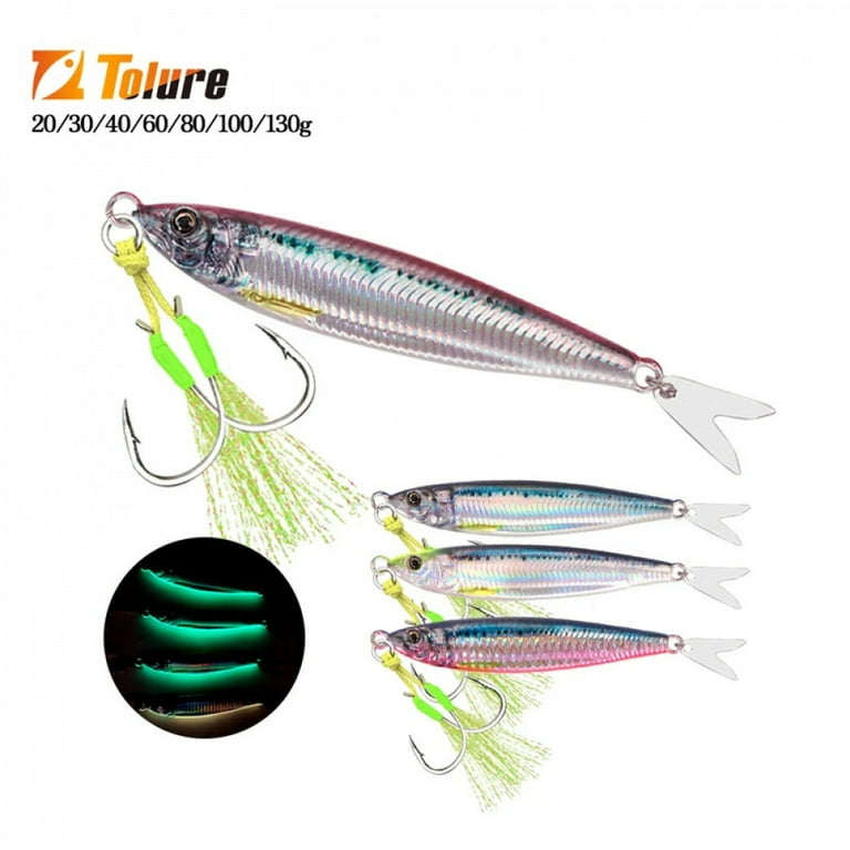 TOLU 2024 NEW 3D Printed Fast Sinking Metal Jig Lure 20g 30g 40g 60g 80g  Saltwater Shore Casting Fishing Lure Vertical Metal Jig - Walmart.com