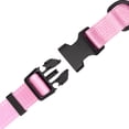 thumbnail image 4 of One Paw, Webbing Collar for Dogs, Multiple Colors and Sizes, 4 of 5