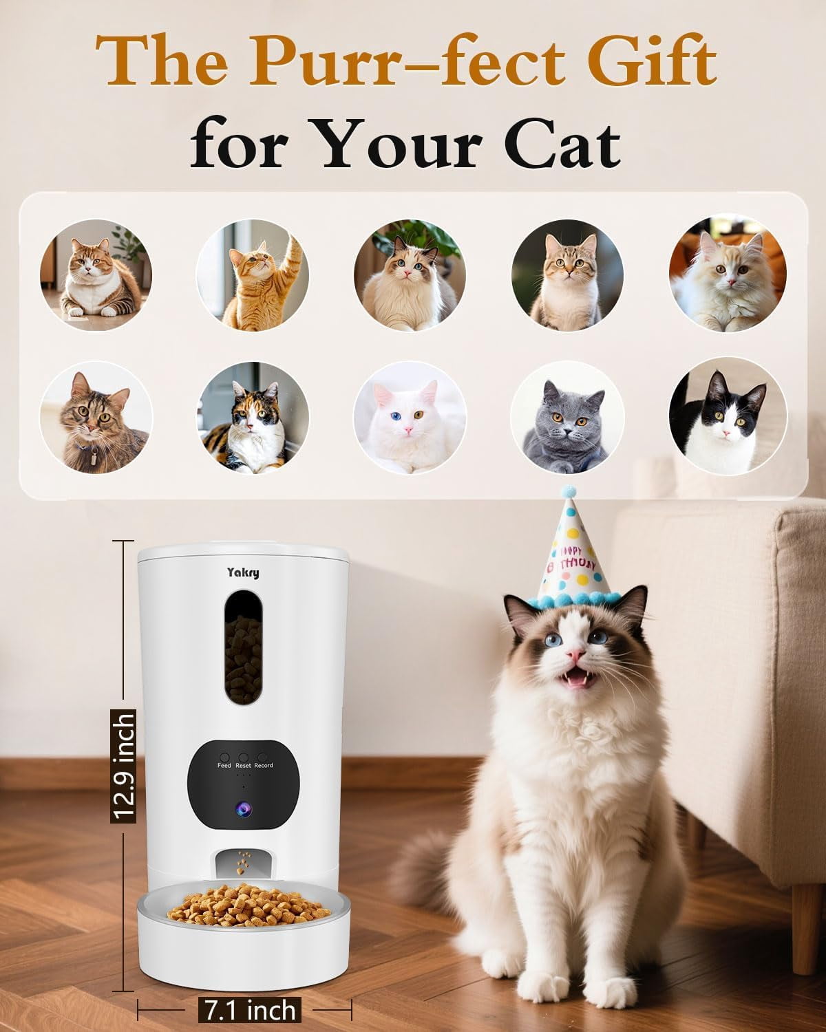 Automatic Cat Feeder with Camera - 5G WiFi App Control, 4L Stainless Steel Bowl, HD 1080P Night Vision for Small Pets