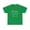 Irish Green, variant on Fencing Other Sports Are Pointless Fencing T-Shirt