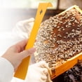 thumbnail image 3 of 2 Pcs Outils Grattoir Ruche en Acier Inoxydable Lève-Cadre Ruche Équipement Apiculture Accessoires Fournitures Jaune, 3 of 5