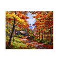 thumbnail image 2 of Pintura de bricoje sin marco por números para adultos Kits de pintura para niños por números Dibujo con pinceles Pintura adecuada los niv Paisaje de otoño Soledad Cuadro de pintura al óleo, 2 of 6