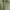 Olive Mist, variant on Free Assembly Women's and Women's Plus Embellished Cotton Utility Shirt with Long Sleeves, Sizes XS-4X