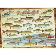 Cobble Hill 1000 Piece Puzzle: Freshwater Fish Of North America - Reference Poster Included, High Quality Jigsaw