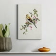 thumbnail image 4 of Spring Song Pine Grosbeak Premium Gallery Wrapped Canvas - Ready to Hang - 8 x 12, 4 of 9