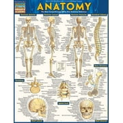 Anatomy - Reference Guide (8.5 x 11) : a QuickStudy reference tool (Other)