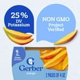 thumbnail image 4 of Gerber Stage 2 Baby Food, Mango Puree Tub, Baby Puree, 2PK 8 oz, 4 of 15