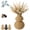 A, variant on Boho Wicker Vase Gourd Shaped, Farmhouse Table Centerpiece (B) | Natural willow desktop vase enhances bookshelf or entryway style. Durable woven design wont break. Best for dry floral stems