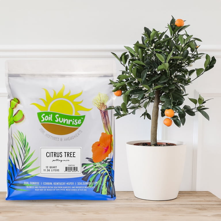 Soil Sunrise, Citrus Tree Potting Soil Mix, 12 Quarts, Special Blend -  Walmart.com