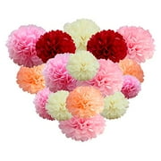 Angle View: Paper Pom Poms Tissue Paper Pink Flowers Decorations for Wedding Ceremony/Birthday Party/Fiesta/Nursery Decor/ 20 pcs of 14", 10", 8",6"