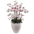 thumbnail image 1 of Phalaenopsis Orchidée avec Jardinière Blanche, 1 of 1
