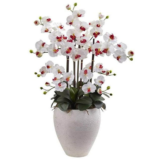Phalaenopsis Orchidée avec Jardinière Blanche