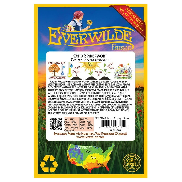 Everwilde Farms - 300 Ohio Spiderwort Native Wildflower Seeds - Gold Vault  Jumbo Bulk Seed Packet - Walmart.com