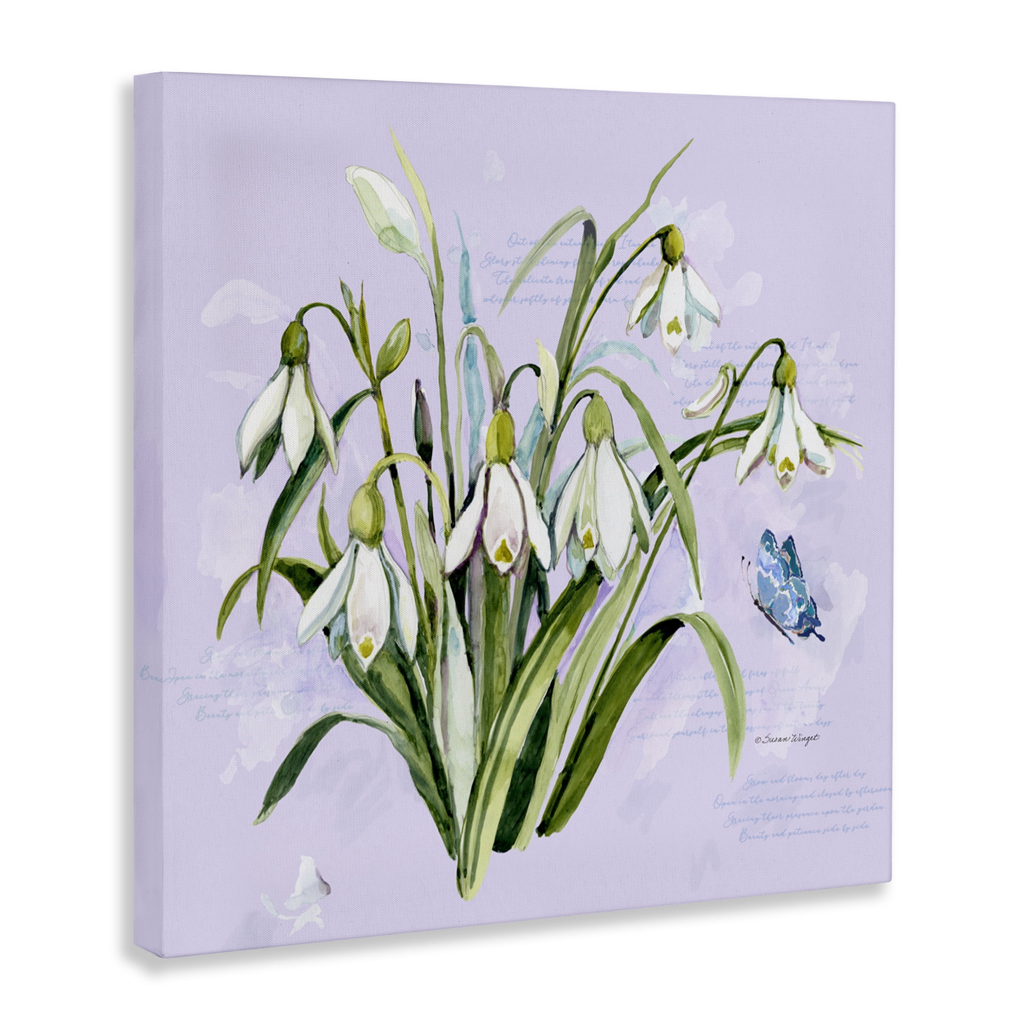 Stupell Industries Snowdrops with Vintage Writings Canvas Wall Art, design by Susan Winget